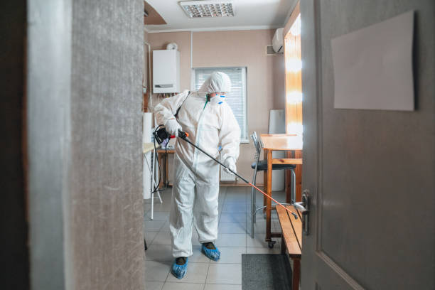 Best Mold Odor Removal Services  in Erma, NJ