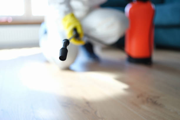 Best Water Damage & Mold Remediation  in Erma, NJ