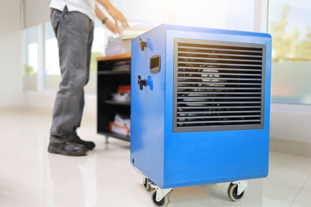 Mold Remediation for Vacation Homes in Erma, NJ