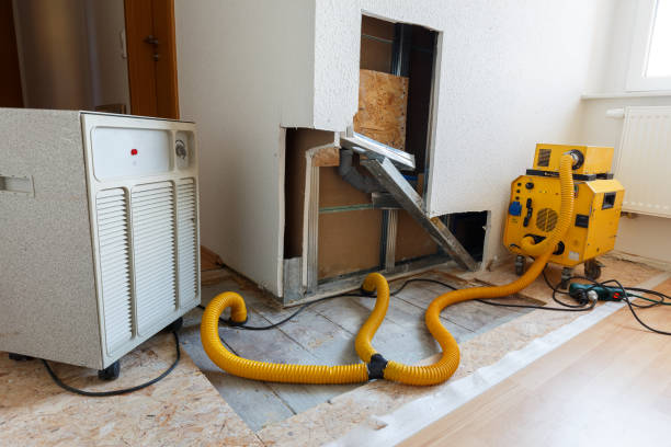 Best Industrial Mold Remediation  in Erma, NJ