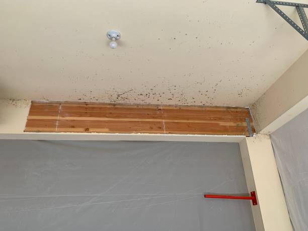Best Post-Remediation Verification Testing  in Erma, NJ