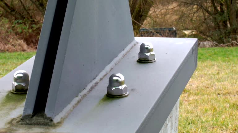 Best Mold Prevention Services  in Erma, NJ