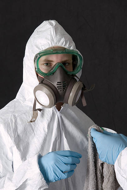 Best Mold-Related Health Consultation  in Erma, NJ
